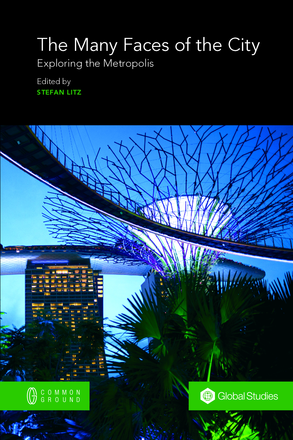 The Many Faces of the City: Exploring the Metropolis - Book - CGScholar